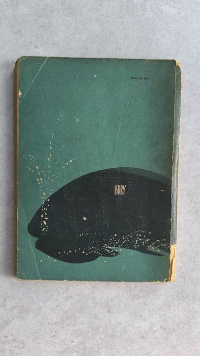 Płynę w świat - Czajka