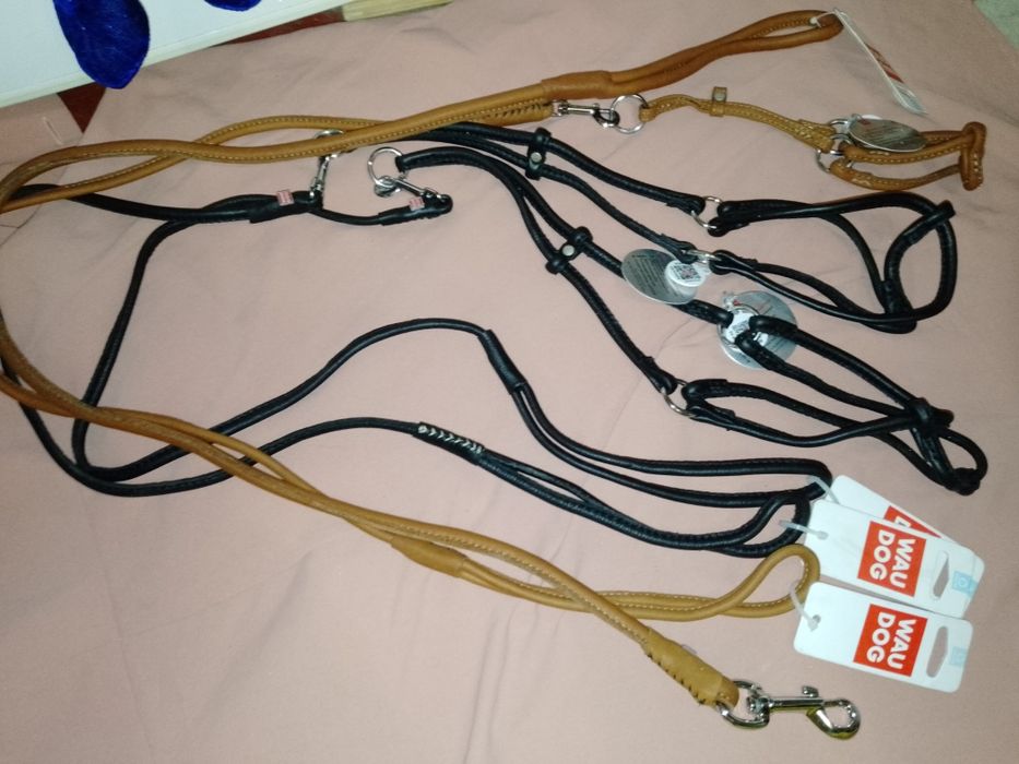 Продам собачи ошейники, поводки та одежду