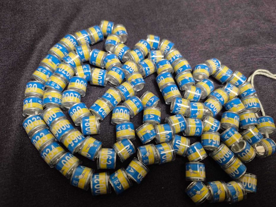 Кільця для голубів  Україна 2026 рік