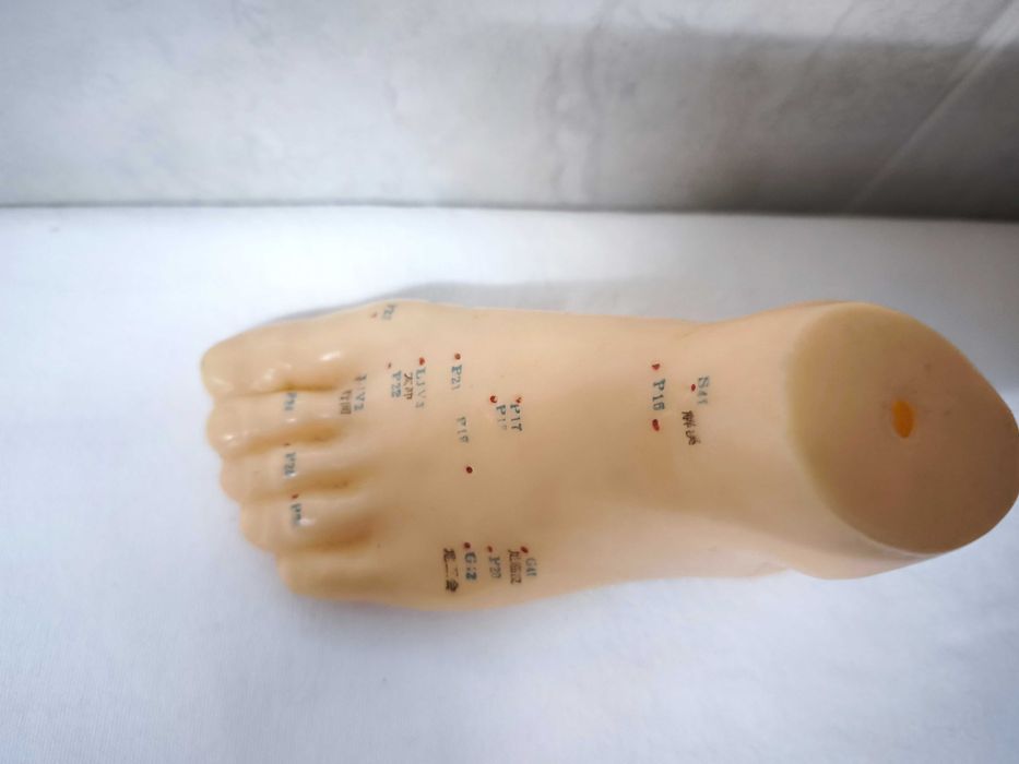 MTC - figura microssistema do pé