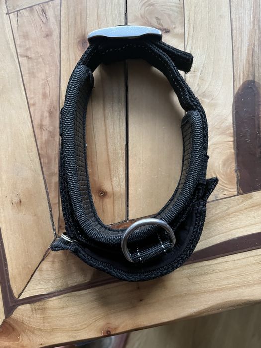 Obroźa dla psa Pentento Pet