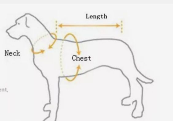 Светр для собаки