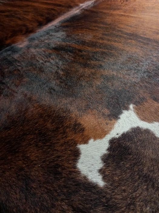 Tapete em Pele Natural Premium – 2,20m x 2,35m – Excelente Estado