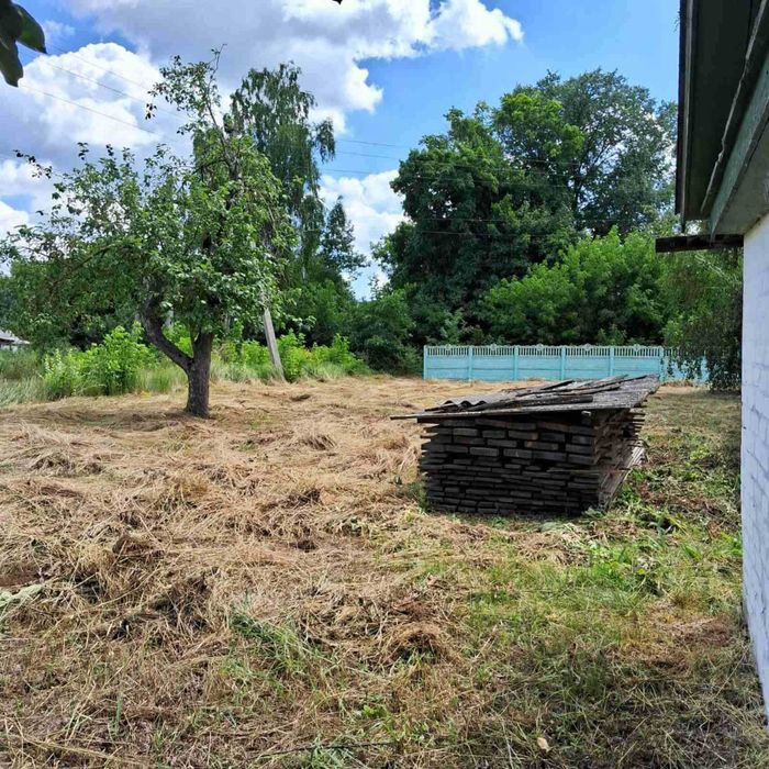 село Адамовка продам дом и участок 25 соток от собственника