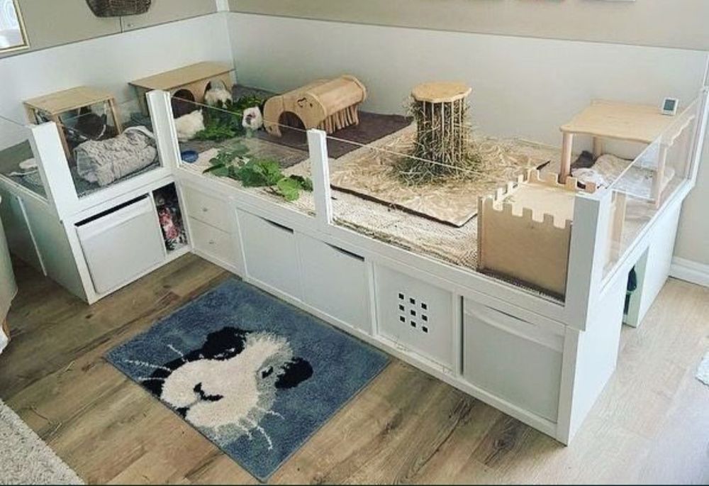 Casas P/ coelho/hamster personalizada