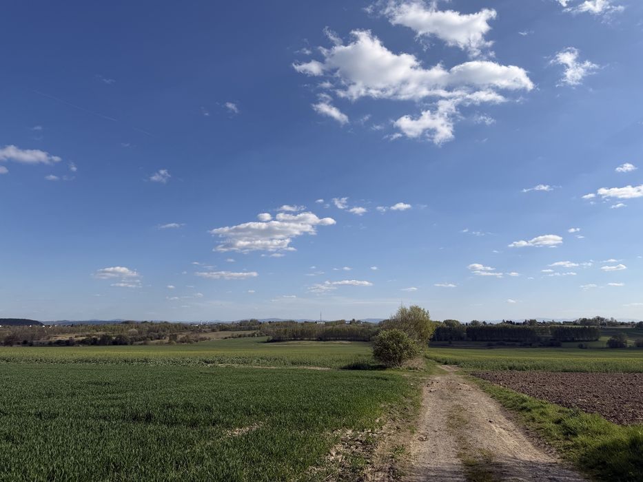 Na sprzedaż piękna działka budowlana widokowa w Liszkach (okolice szkoły podstawowej) - Widok 3