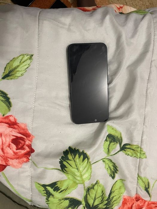 iPhone 14 normal