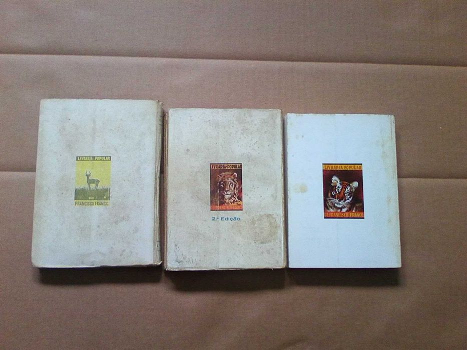 Romances dos bichos do mato -  conjunto