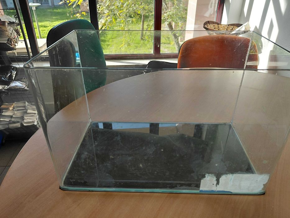 Aquario com 2 semanas de utilização