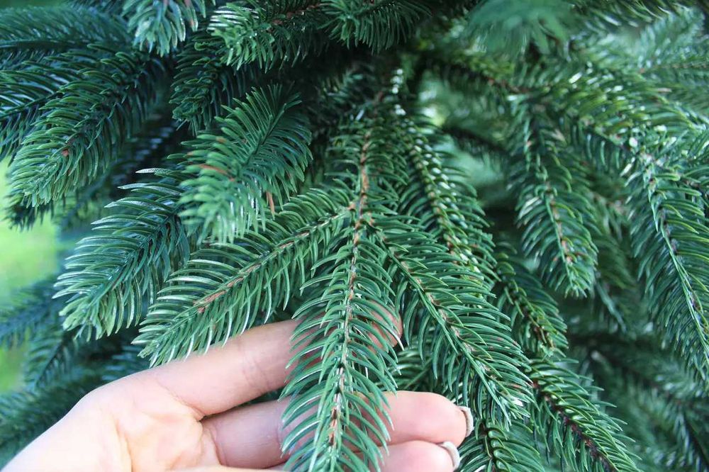 Лита ялинка Преміум Швейцарська 1.5 м – пухнаста зелена штучна