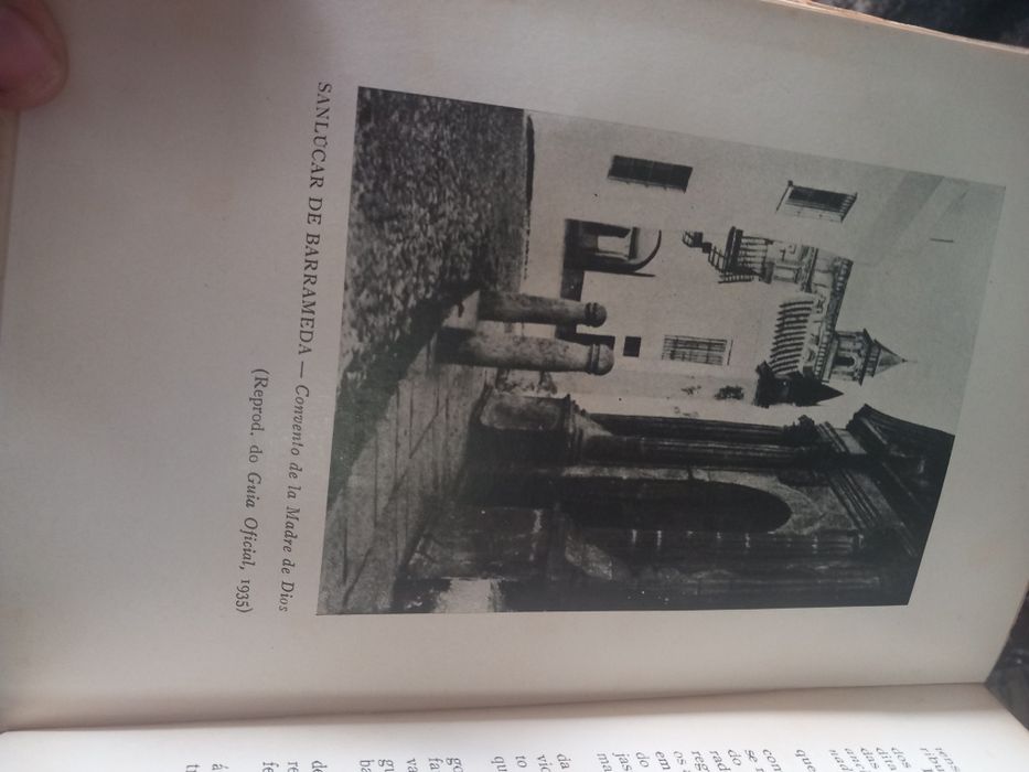 Dona luisa de Gusmão