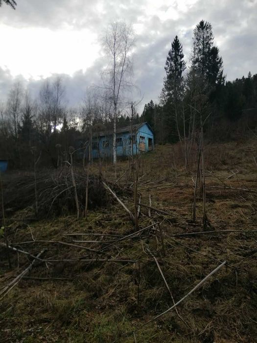 Дитячий табір біля курорту "Східниця"