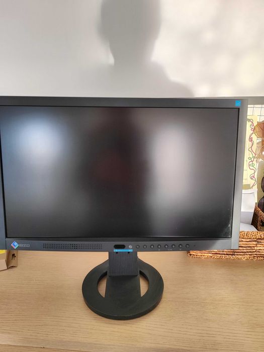 Monitor EIZO 20" FLEXSCAN EV2023W PVA 16:9