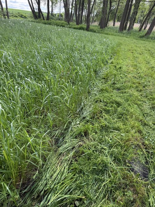 Koszenie działek i ogrodów Biskupiec i okolice – szybko i solidnie.