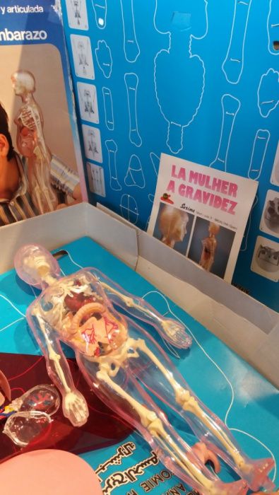 Jogos -Anatomia Humana