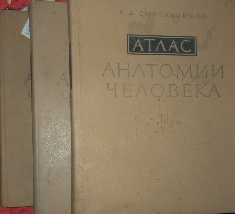 Атлас анатомии человека  в 3 томах. Р.Д.Стнельников