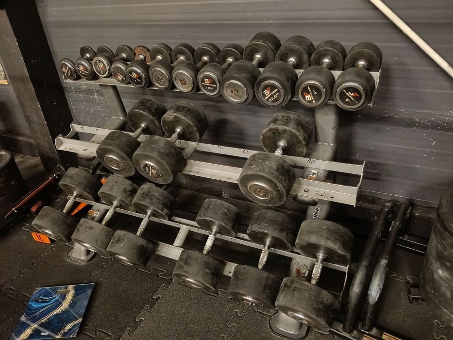 Hantle Bauer Fitness