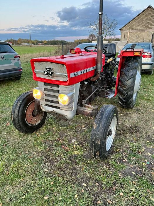 Massey Ferguson 133  Massey Ferguson 133 ZAREJESTROWANY