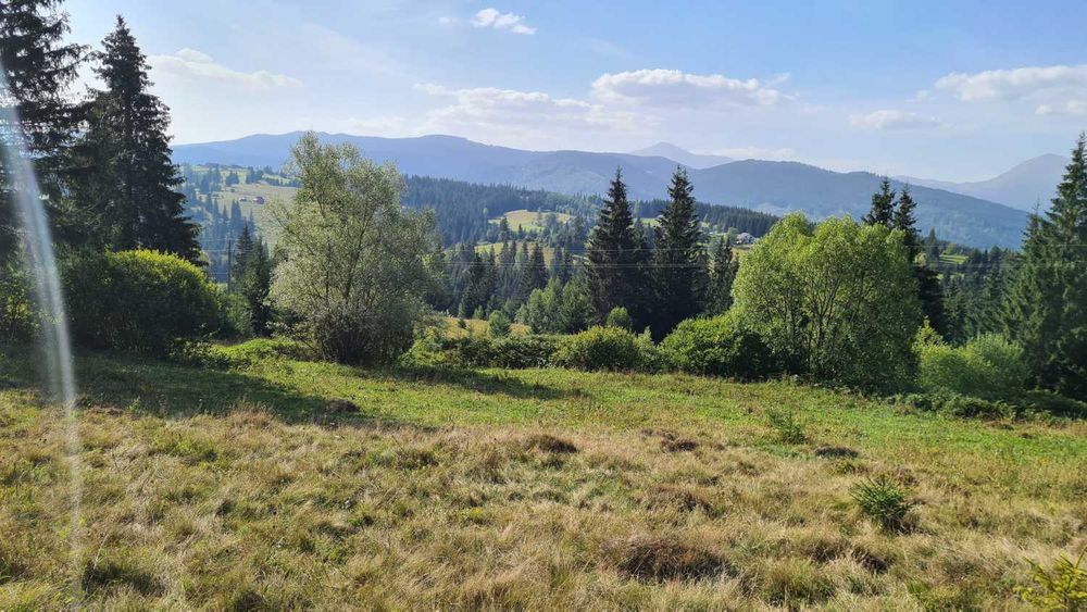 Продам земельну ділянку у селі Яблуниця - 0,16 га