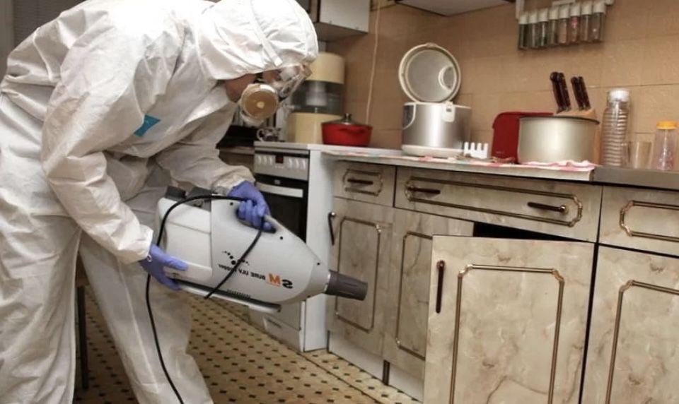 Знищення Уничтожение тараканов,клопов,клещей и других насекомых