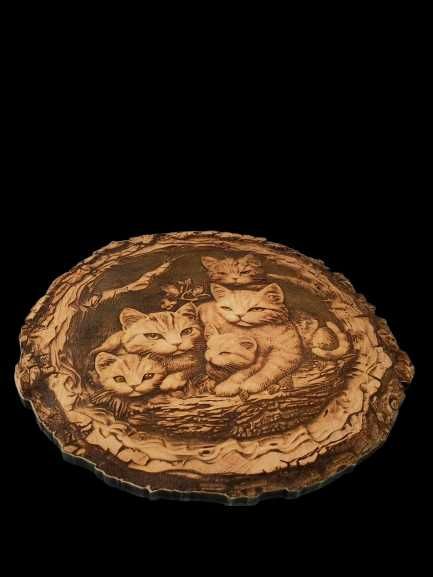 Kotki obraz wypalany w drewnie 3d iluzja