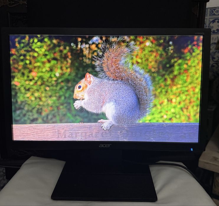 Monitor ACER V196HQL - Ótimo Estado