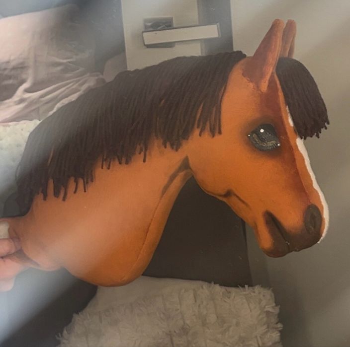 Hobby horse RSN.
