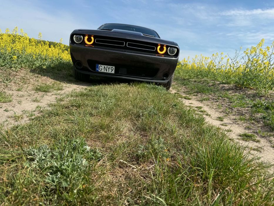 Sprzedam Dodge challenger