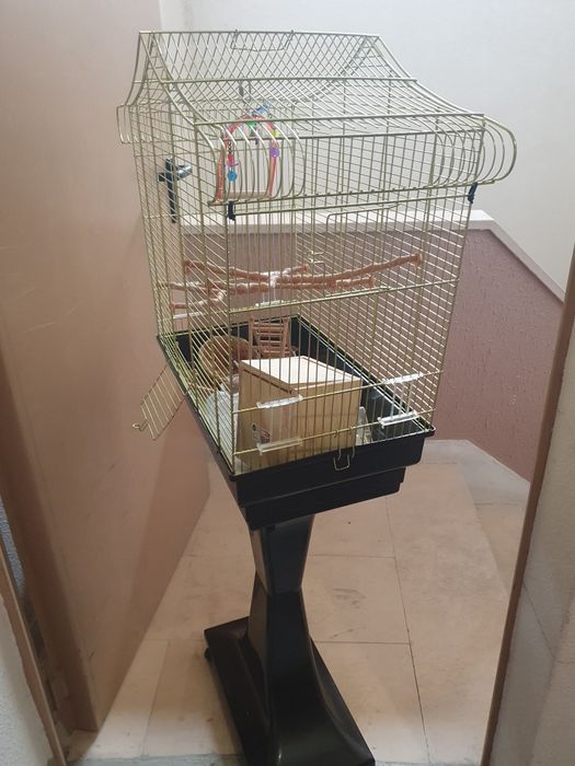 GAIOLA DOURADA com pé alto preto