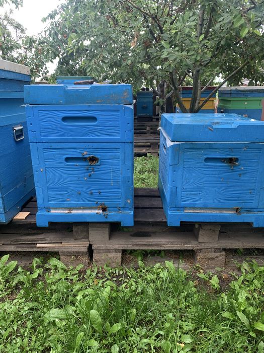 Продам вулики бу
