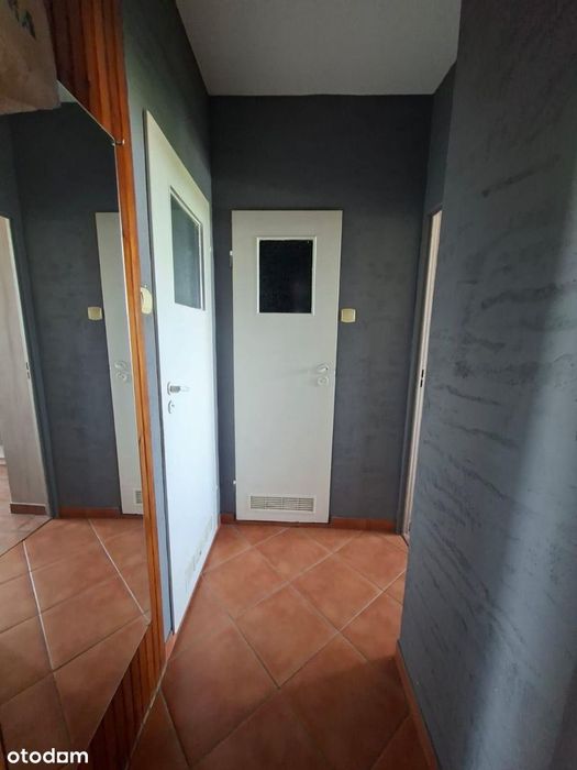 2-pokojowe mieszkanie z widokiem na Ogród Botaniczny – Retkinia