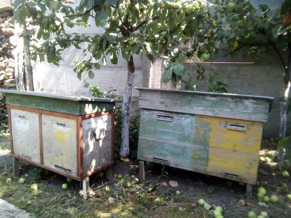 Вулики Українка та рамки до них