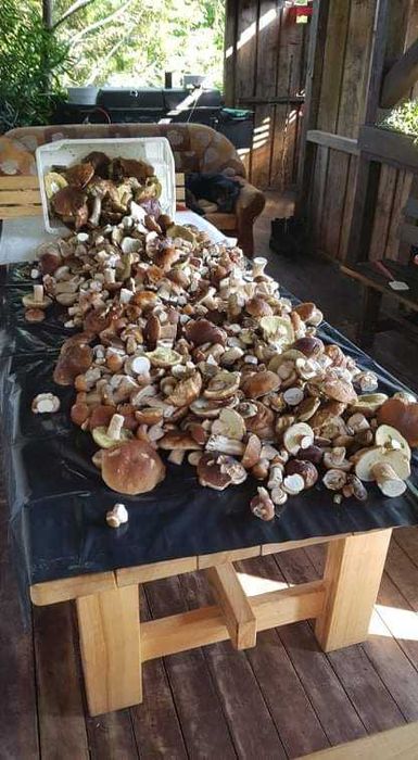 Domek z balią/jacuzzi nad jeziorem na mazurach