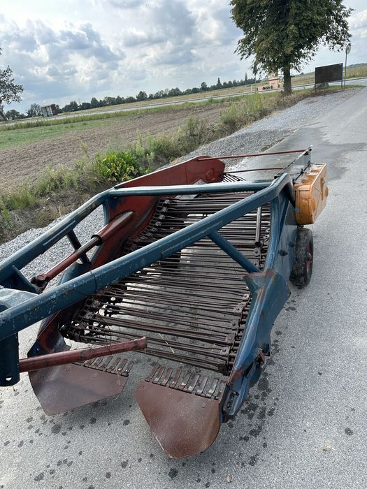 Kopaczka elewatorowa, siewnik do cebuli, marchwii