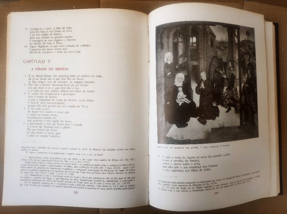 BÍBLIA SAGRADA ILUSTRADA - Antigo e Novo Testamentos