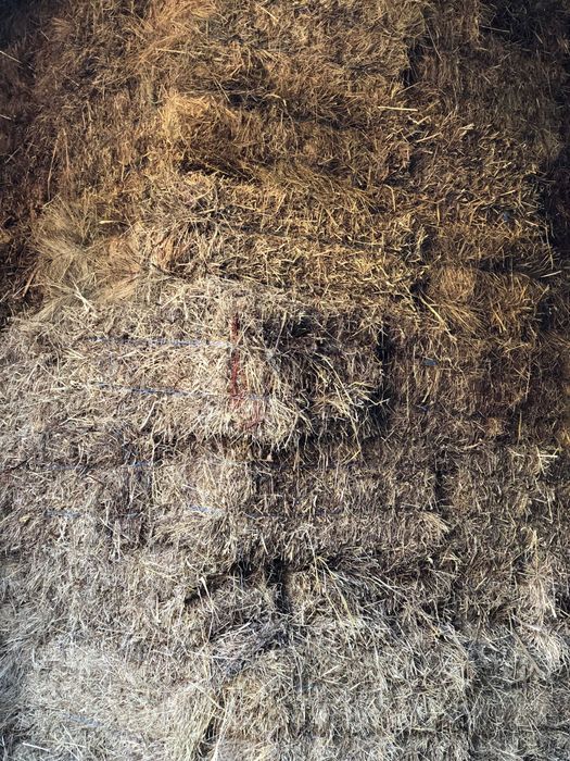 Vendo fardos de feno