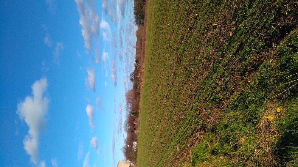 Działka rolno-budowlana Laski Lubuskie pow. Słubice 85 km.od Berlin
