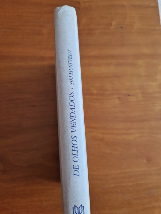 Romance "De Olhos Vendados", de Siri Hustvedt