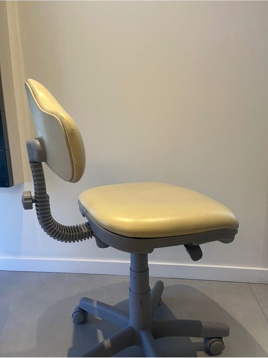 Cadeira Médico Dentista/ Assistente Dentaria