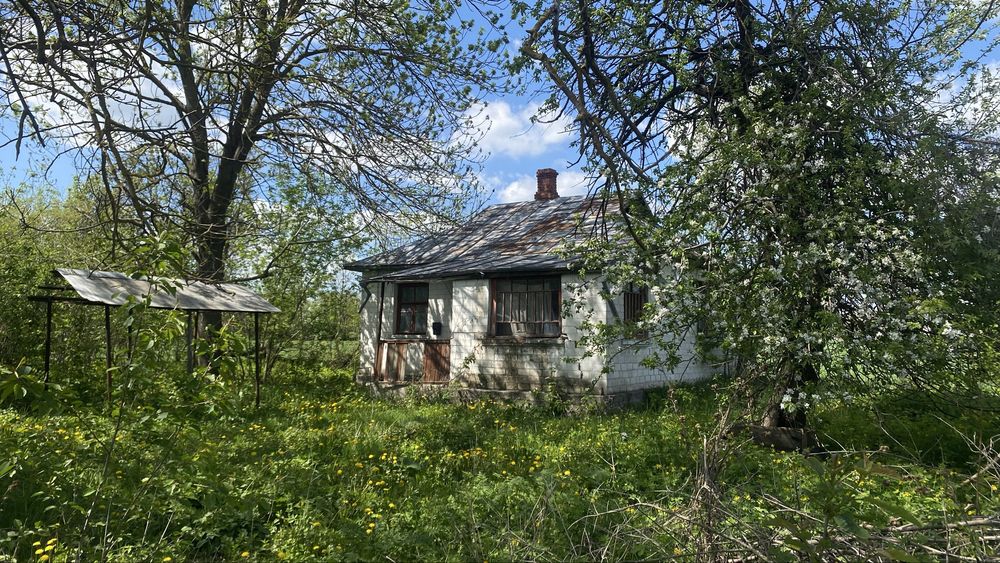 Продам будинок з приватизованою землею Тульчин,с. Зарічне