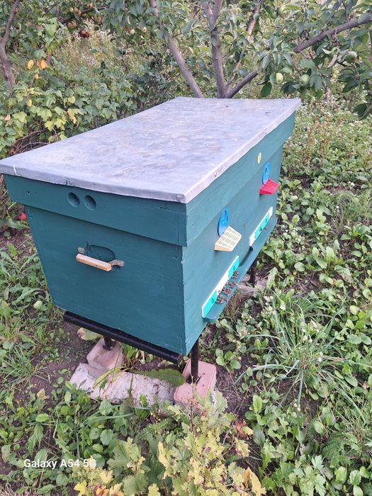 Продаж вуликів з бджола