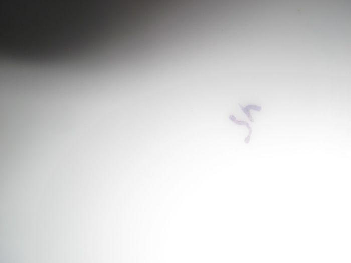 Супница Кузнецов целая