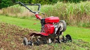 Культивация землі і чистка туй