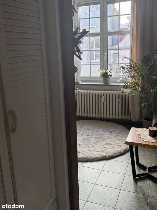 Samo serce starego miasta - widok na Zbrojownię i Bazylikę