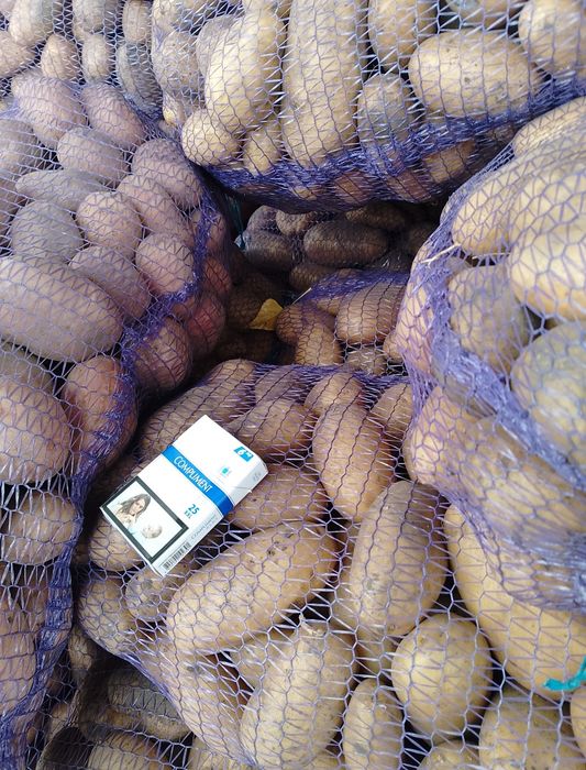 Продам Чернігівську картошкуртошку розовних та білих сортів