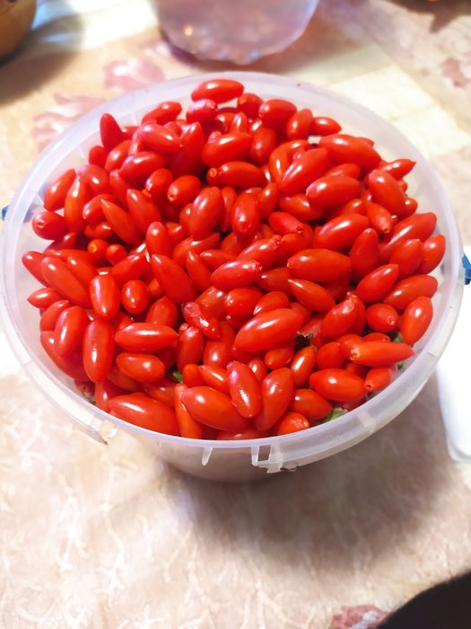 Продам Ягоди годжі