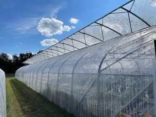 tunel foliowy, konstrukcja tunelu 7 x 30 gotyk