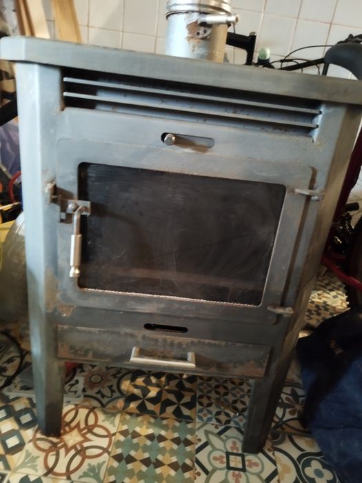 Salamdra em bom estado