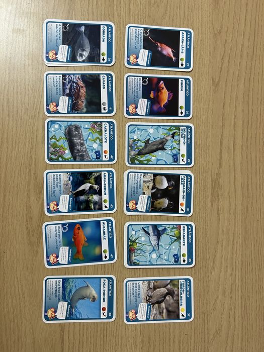 Cartas Super Animais 2, vida marinha - Pingo Doce