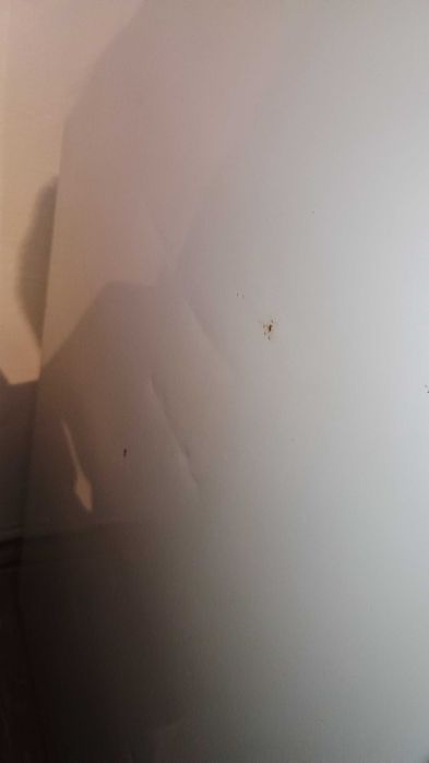 Продам холодильник INDESIT